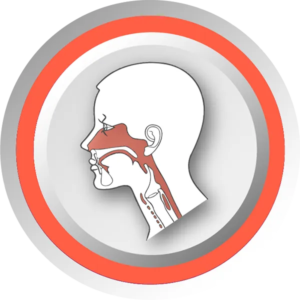 Logo AKIVI tête et cou pour plan étude